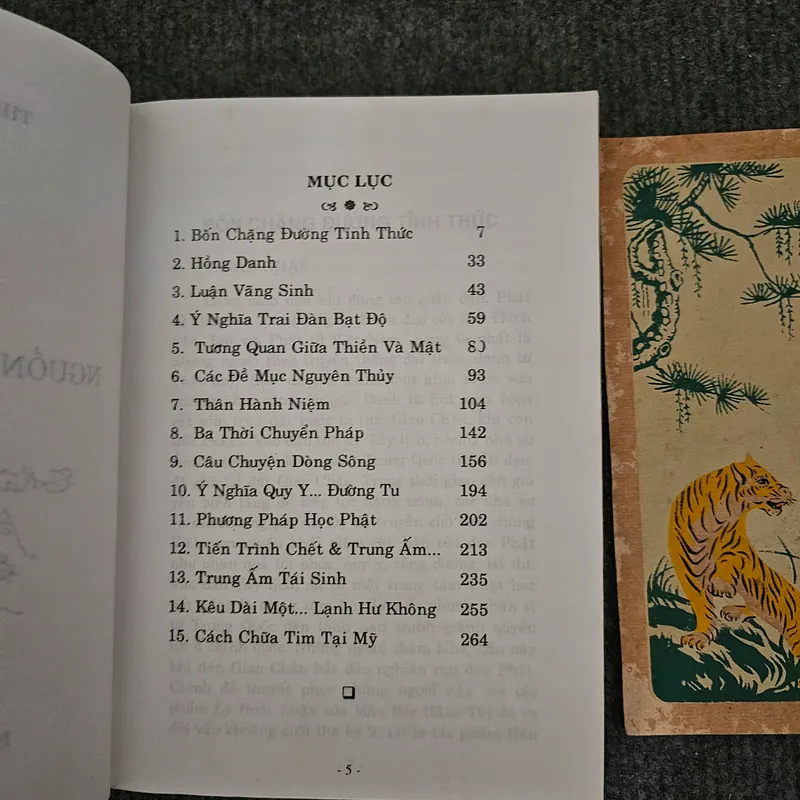 Nguồn mạch tâm linh - ni sư Trí Hải 736848