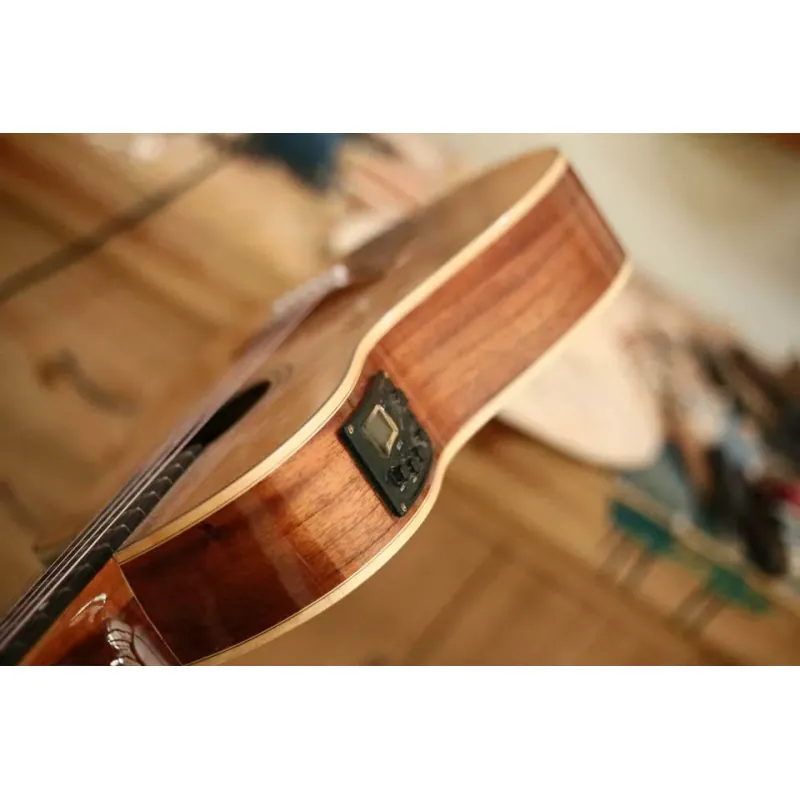 Guitar đẹp cho người mới tập chơi đàn 720066