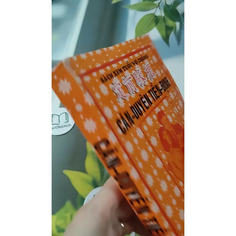 Căn Duyên Tiền Định 727287