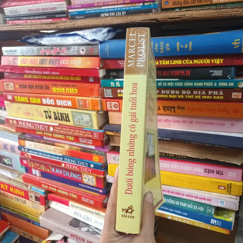 Dưới Bóng Những Cô Gái Tuổi Hoa- Marcel Proust 749595