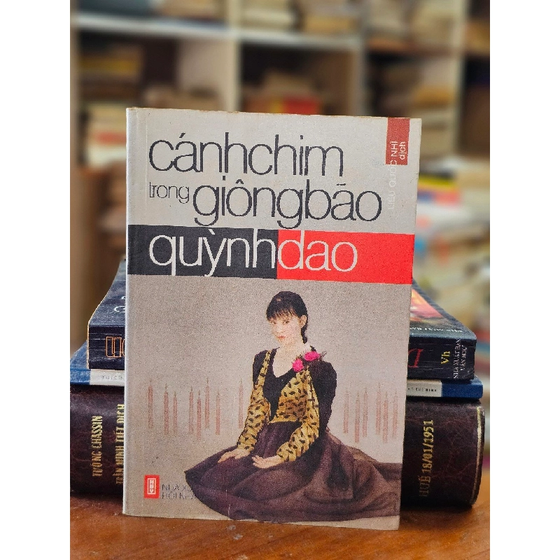 CÁNH CHIM TRONG GIÔNG BÃO - QUỲNH DAO 120727