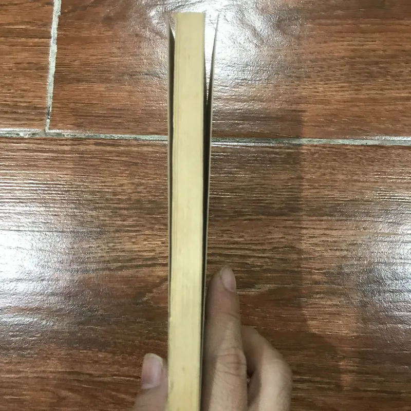 Bên không chồng - Dương Hướng (k1) 719800