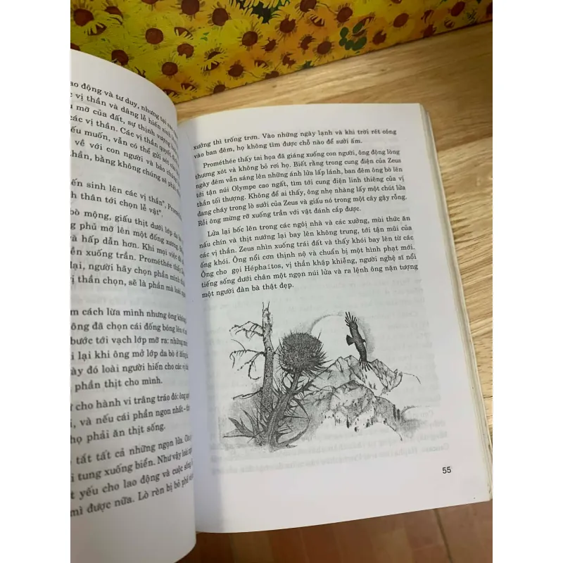 Truyện Cổ Hy Lạp 927496