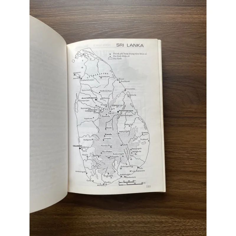 Mỹ Thuật Châu Á - Huỳnh Ngọc Trảng, Phạm Thiếu Hương dịch 961585