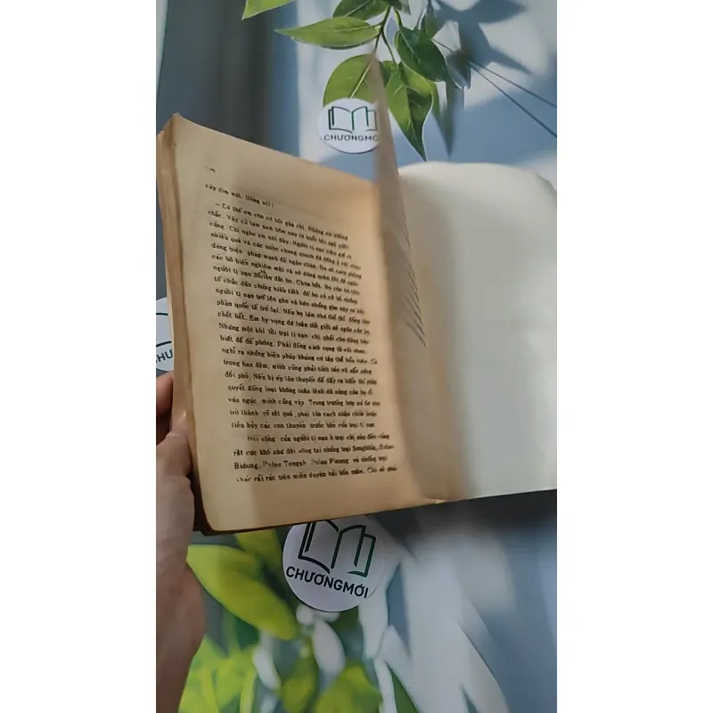 [XƯA] Bưởi - Sách Phật Giáo (1986) - Thích Nhất Hạnh       775988