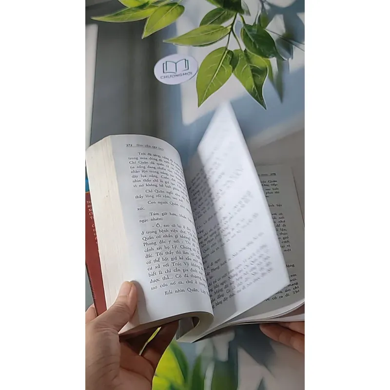 Tình vẫn đẹp sao - Quỳnh Dao 607697