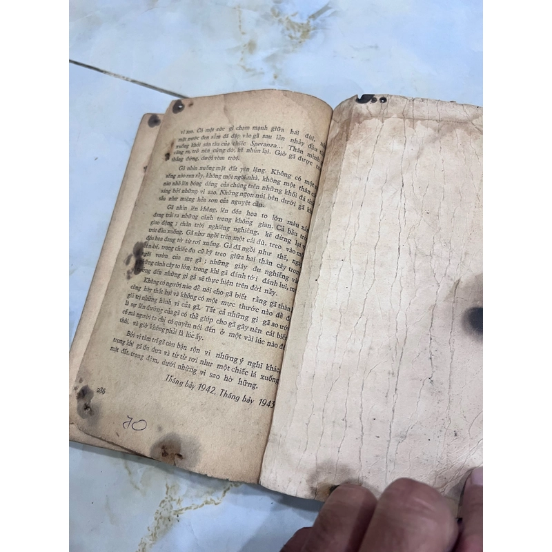 Đi trong hoàng hôn - Mai Vi Phúc dịch 531550