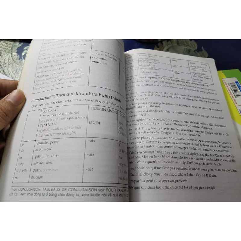 [Tiếng Pháp cơ bản] Văn Phạm Pháp Văn - Nicole Mcbride 1008534