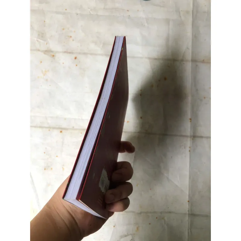 Sinh Nhật Ở Rừng Và Những Cuộc Vui Tưng Bừng - Toon Tellegen, Jessica Ahlberg 800752