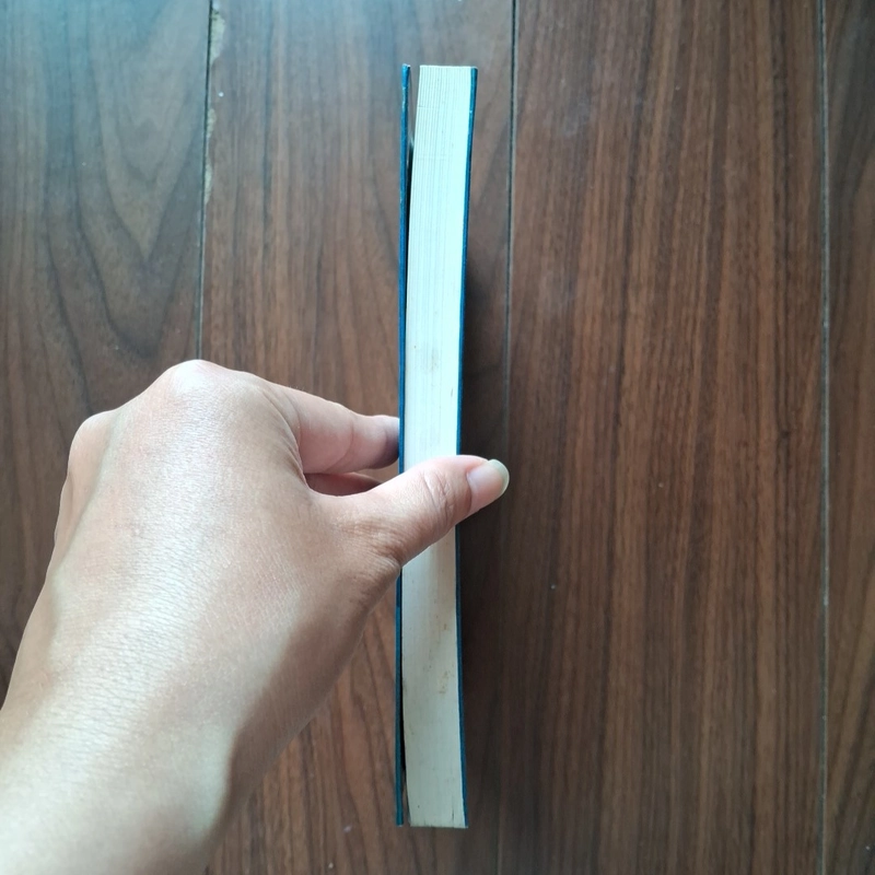 Bất cứ điều gì em muốn 505294