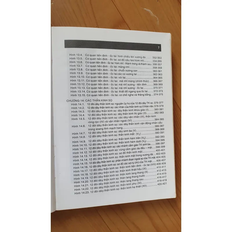 GIẢI PHẪU ĐẦU MẶT CO 752816