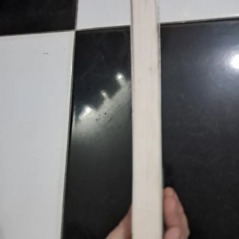 Cùng anh ngắm hoa sơn trà 1010280