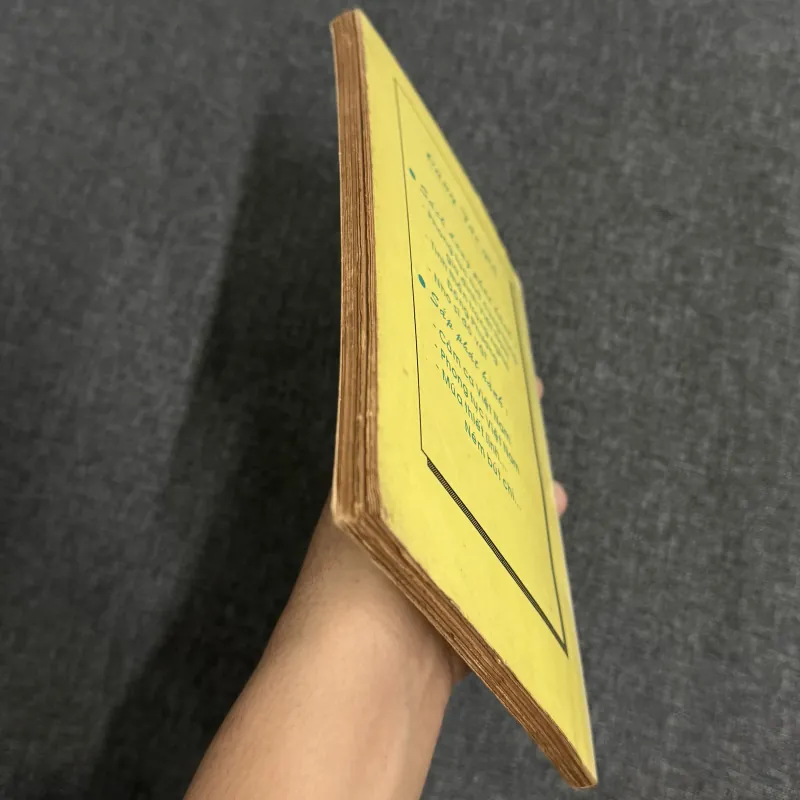 Truyện ngắn làng quê (Trong lũy tre xanh) - Toan Ánh 925884