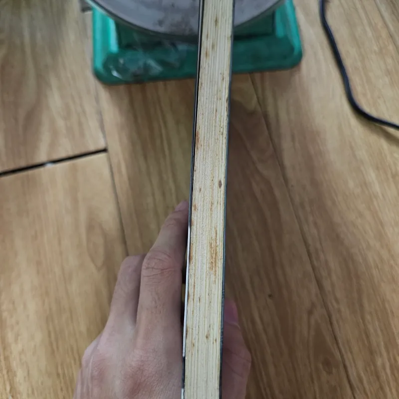 Trịnh Công Sơn và cây đàn lya của hoàng tử bé
 755696