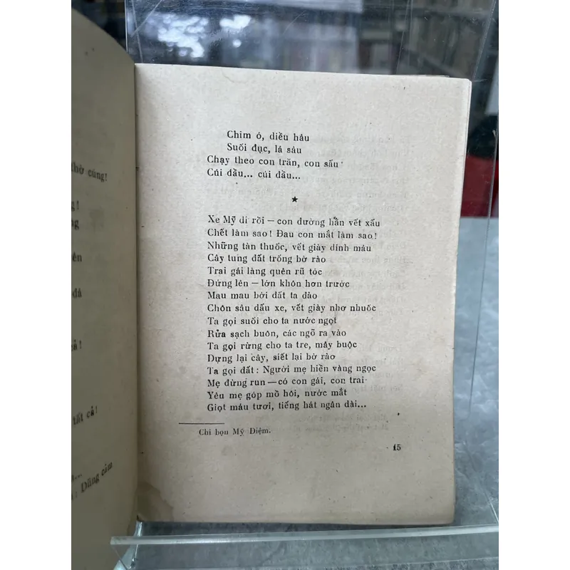 LỬA SÁNG RỪNG 704016