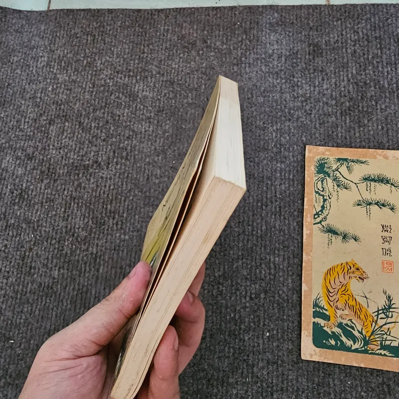 Bánh trái mùa xưa, góc nhỏ miền tây - nguyễn ngọc tư 754031