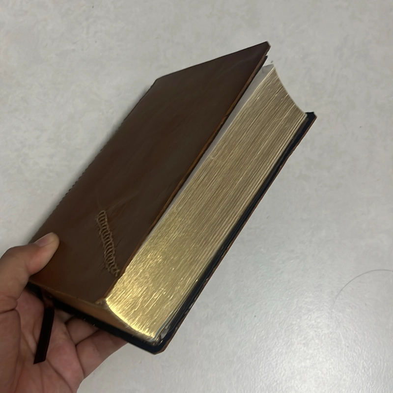 Kinh thánh bản KJV 538911