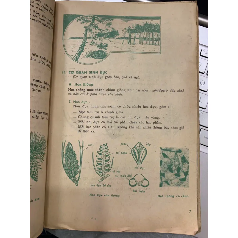 VẠN VẬT HỌC LỚP BẢY - BAN GIÁO SƯ ALPHA 747452