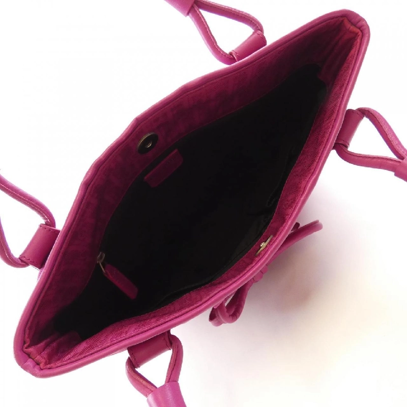 Túi Christian Dior 618069