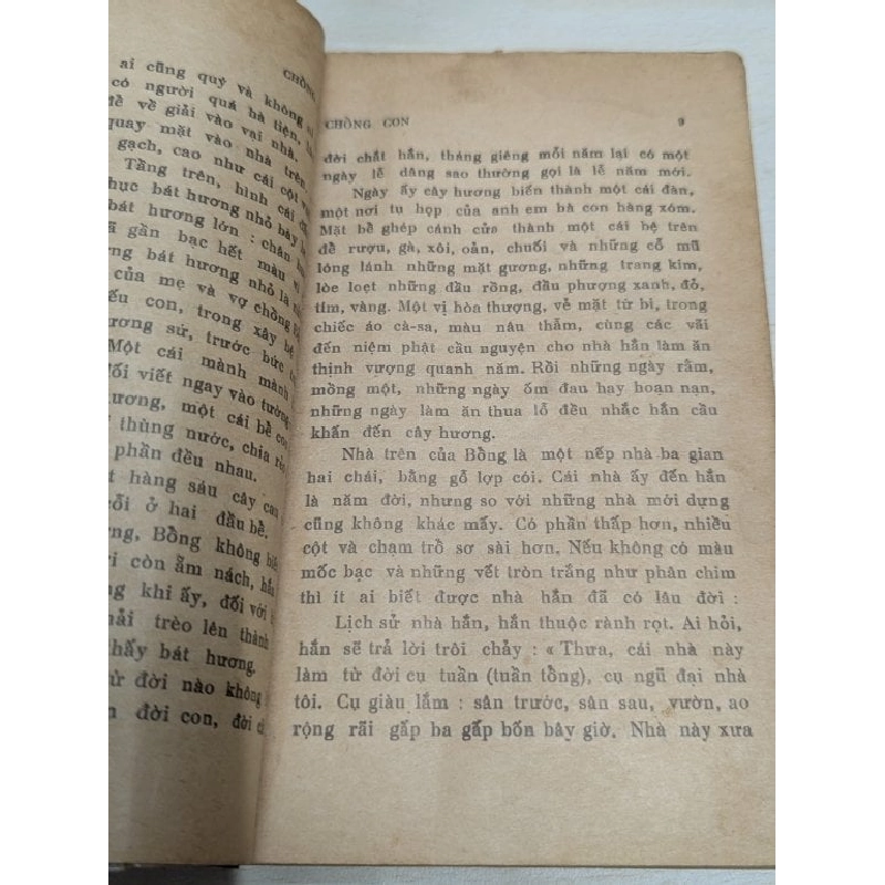 Chồng con - Trần Tiêu 545629