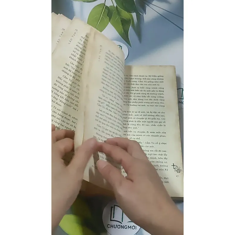 Tẩu hôn - Lão Tam 688593