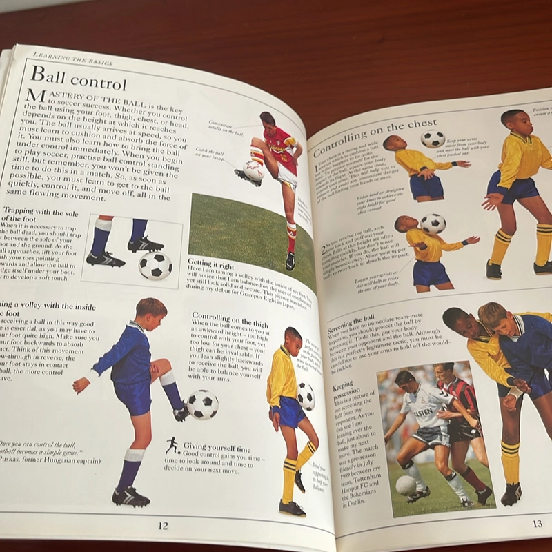 PICTURE BOOK The young soccer player 534363