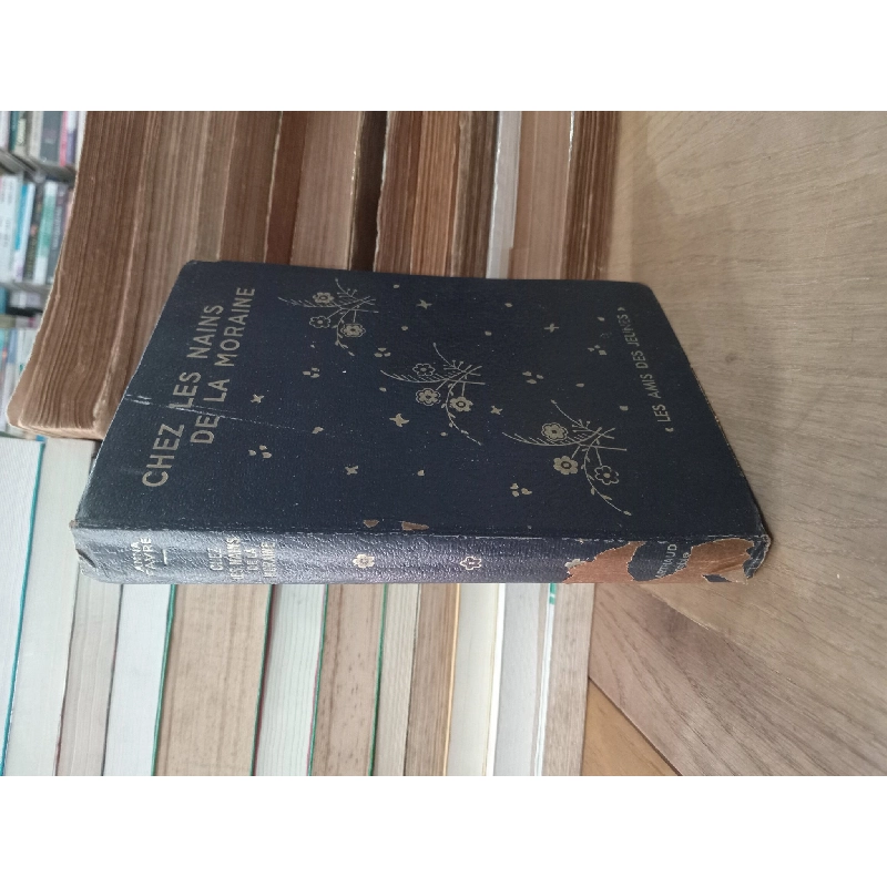 Chez les nains de la moraine - Anna Favre 928449