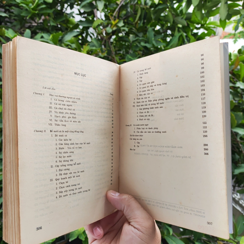 Cá Cảnh - PTS Sinh Học Võ Văn Chí 532117