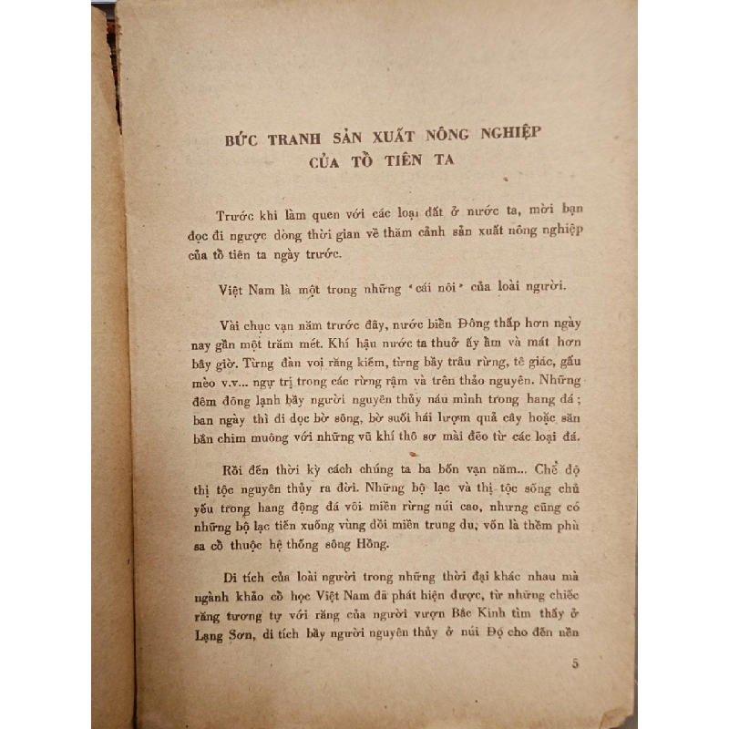 Các loại đất chính ở nước ta - Nguyễn Vy, Đỗ Đình Thuận 601841