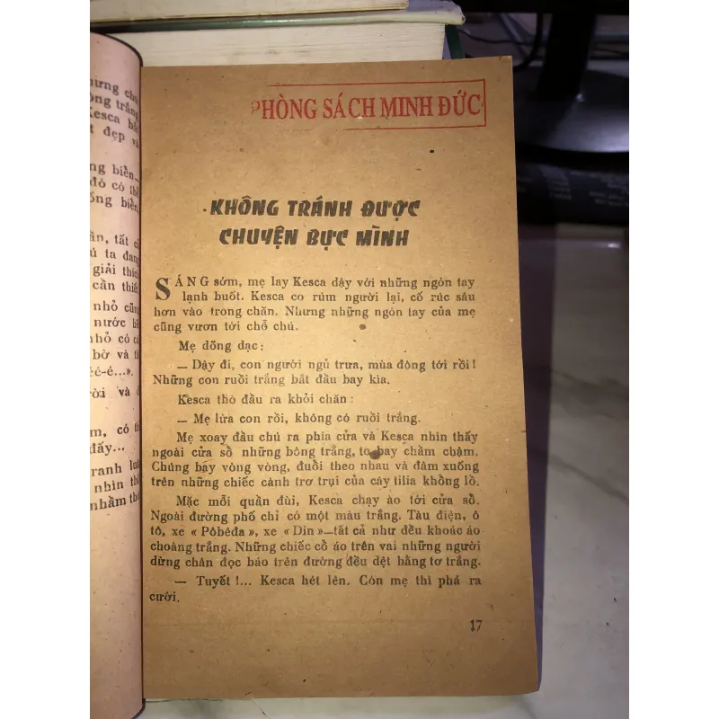 Quần đảo gạch - Rađi Pogođin 1005681