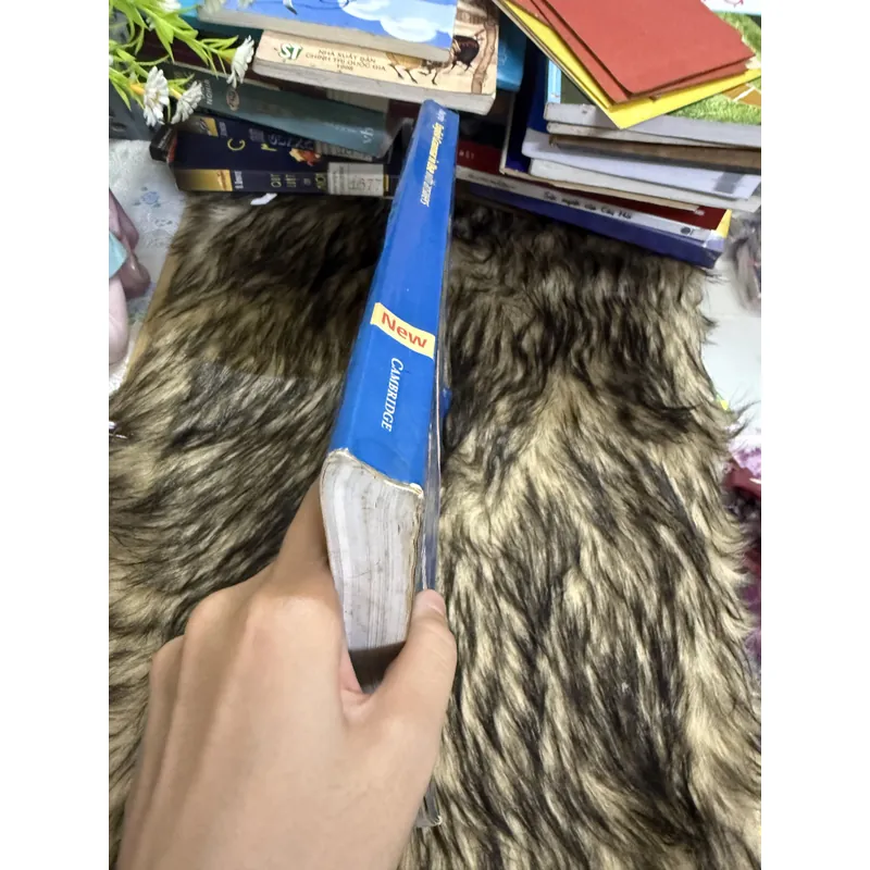 English Grammar in Use 599819