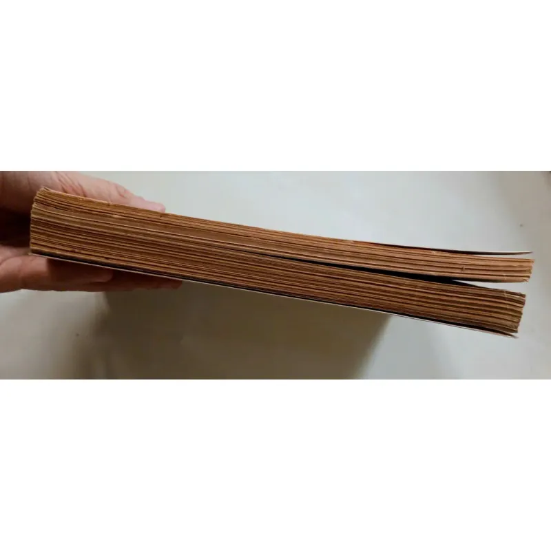 Sống trong ánh sáng 🌻 592274