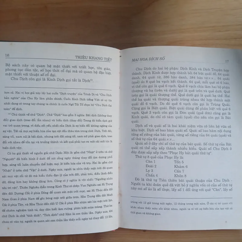 Mai Hoa Dịch Số - Thiệu Khang Tiết 1005355