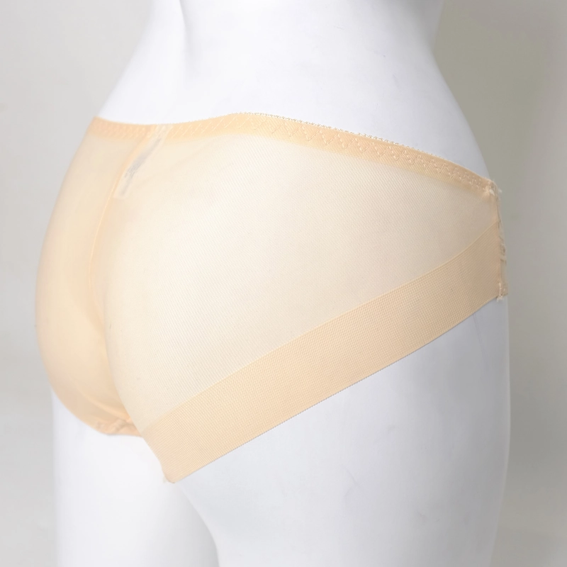 Quần lót thun lạnh phối ren & lưới, lưng vừa, hàng chất lượng tốt, size 45-62kg 445721