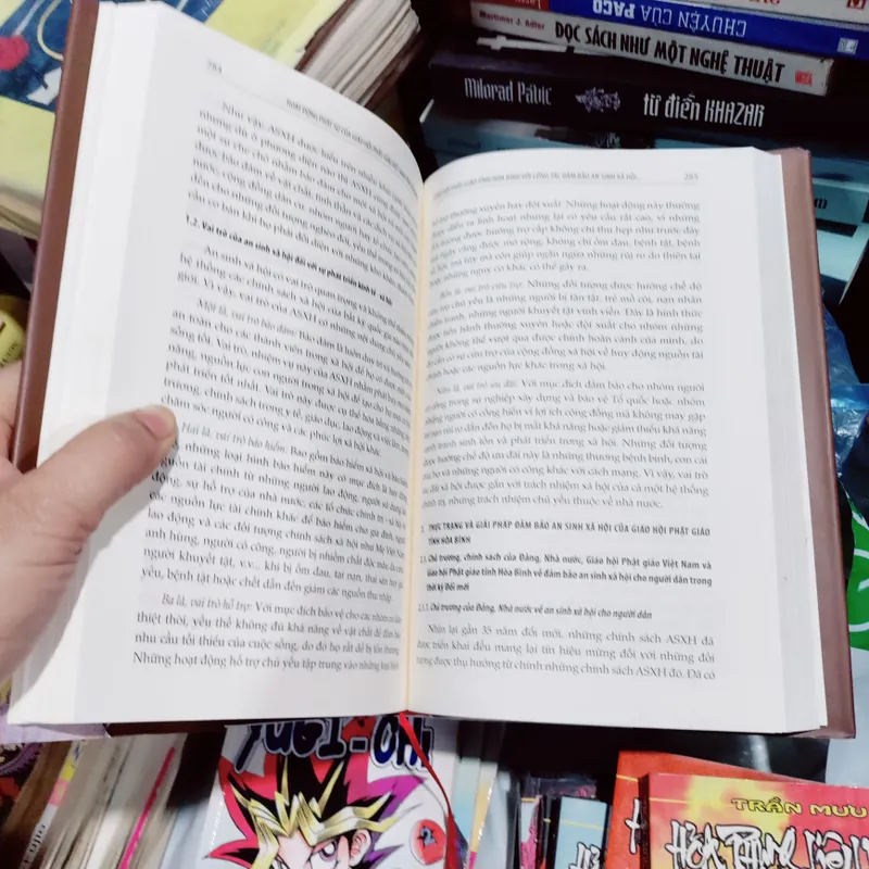 Hoạt động phận sự của giáo hội phật giáo VN tỉnh hoà bình 673723