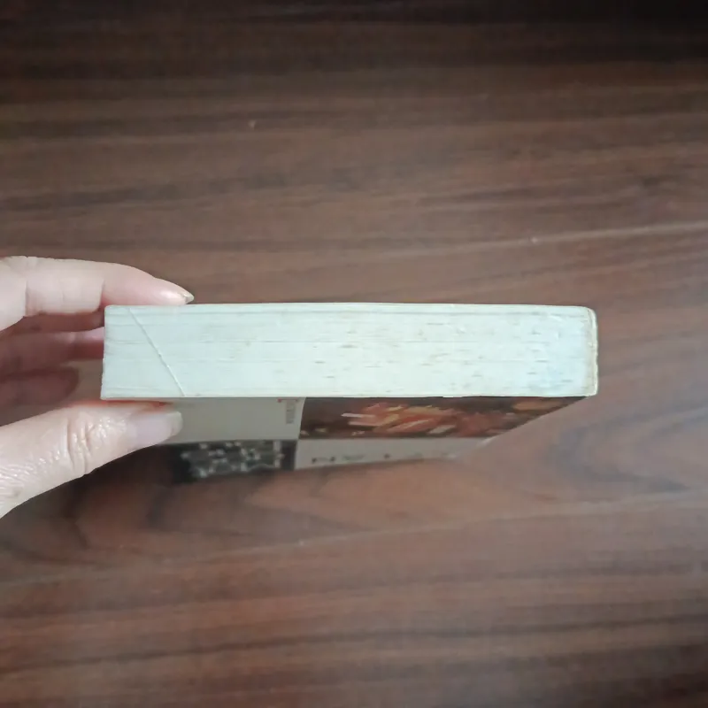 Moitj góc phố tàu - lý lan 933988