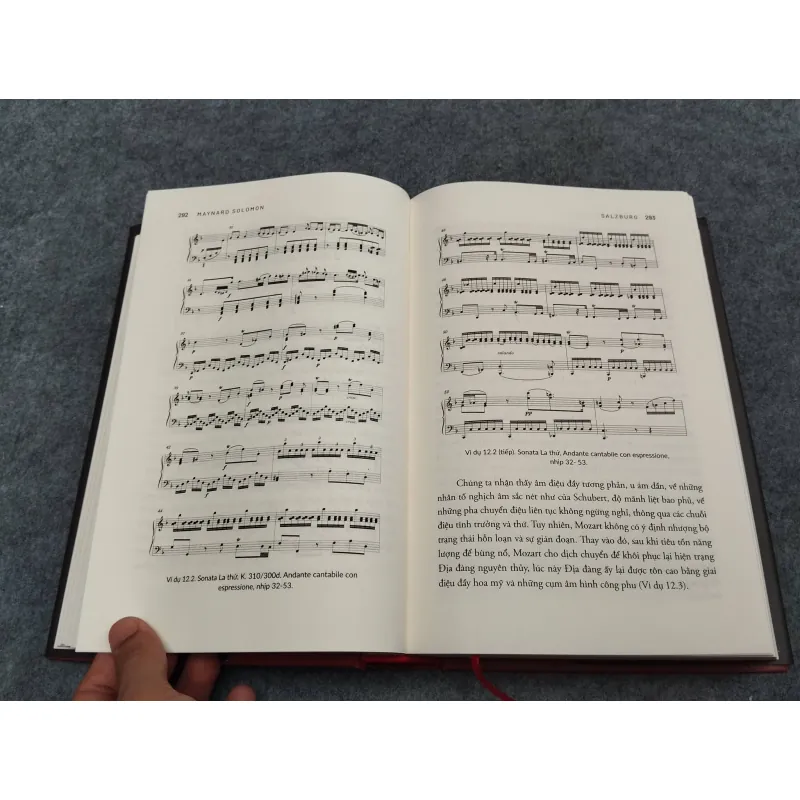 MOZART - MAYNARD SOLOMON 936831