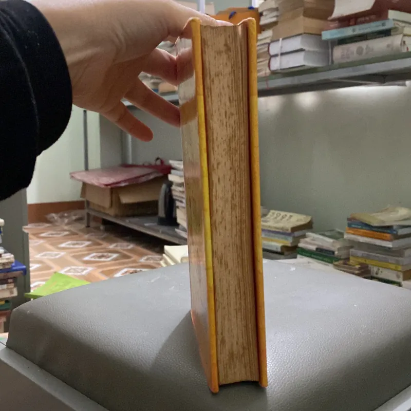 Nguyễn Nhật Ánh - Chúc một ngày tốt lành (Bản đặc biệt) 784547