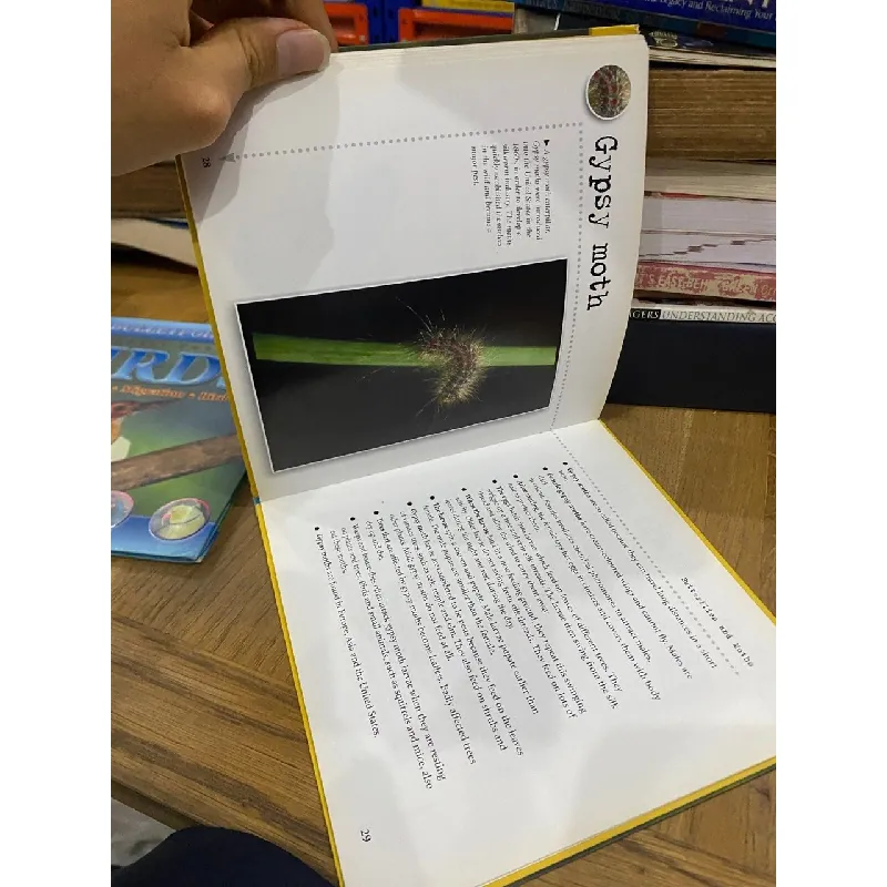 Bulletpoints about Animals 563589