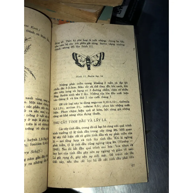 Sản xuất bạc hà - V.Tôpalốp, T. Pôpôp, XT.Mikhailôp 928686