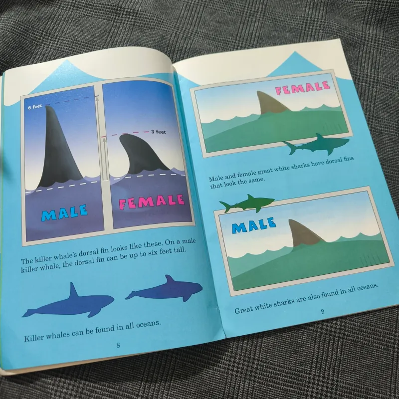 Who Would Win? Killer Whale vs. Great White Shark - Jerry Pallotta 754576