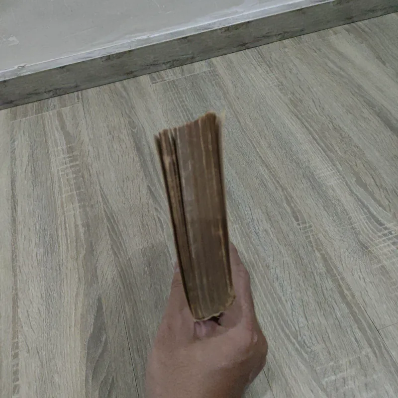 Lịch Sử Phật Giáo Việt Nam - Viện Triết Học 754554