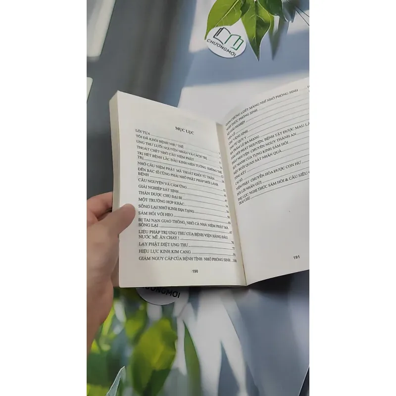 Bệnh Viện Trả Về - Phật Pháp Cứu Sống - Quang Tử 776131