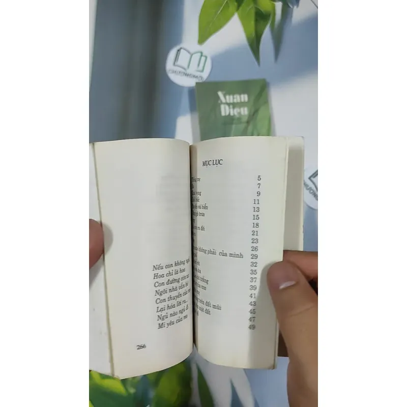 Combo Thơ Hồ Xuân Hương, Xuân Quỳnh, Xuân Diệu 798495