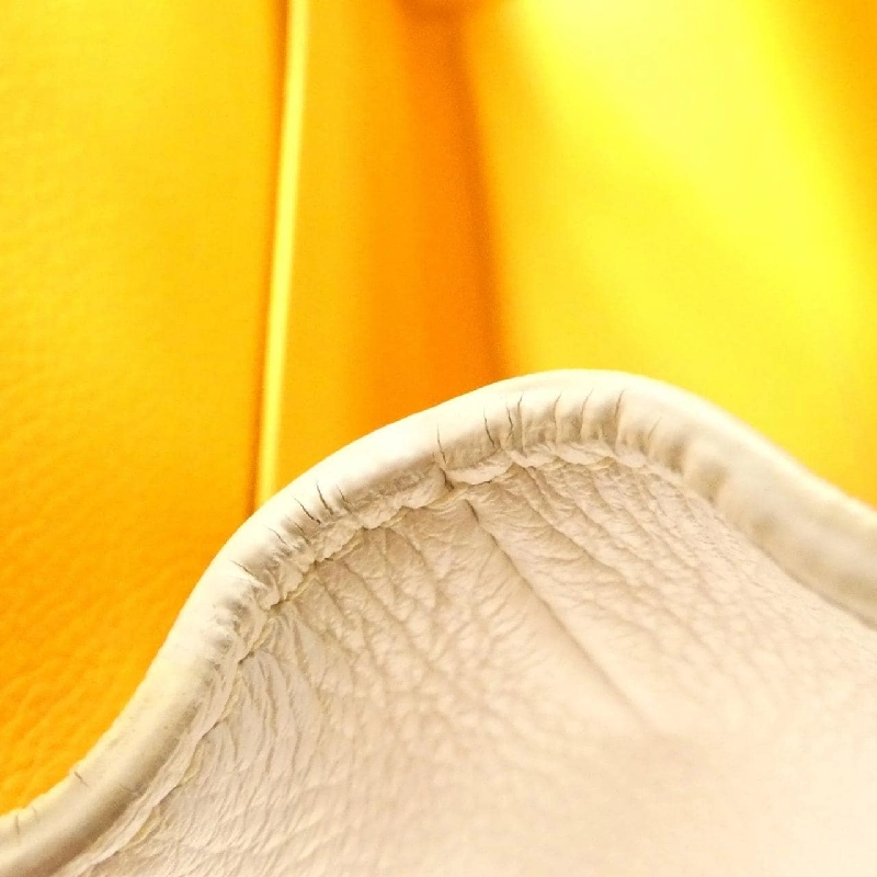 Túi Goyard Sài Gòn - Hàng hiệu Chính hãng 765201