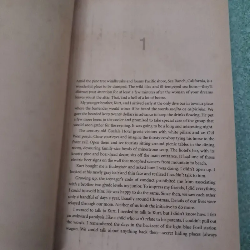 Honeymoon with my brother 997228