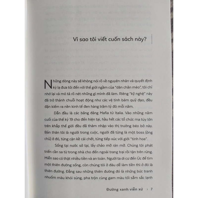 Đường xanh viễn xứ 533937