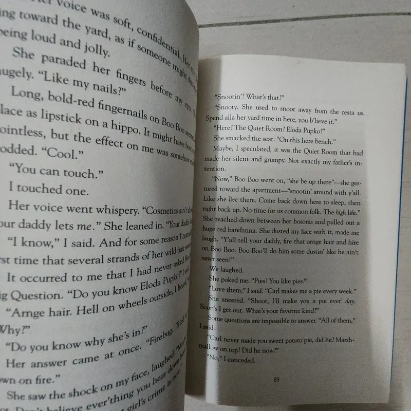 Sách The Warden's daughter 716924