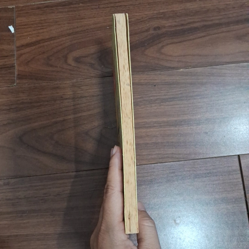 Lueowng ngọc quyến - góc nhìn sử việt 518450