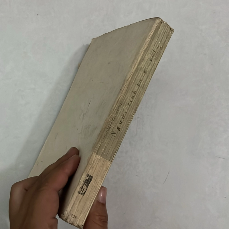 Người tình tuyệt vời (Tập 1) - 1987s 503015